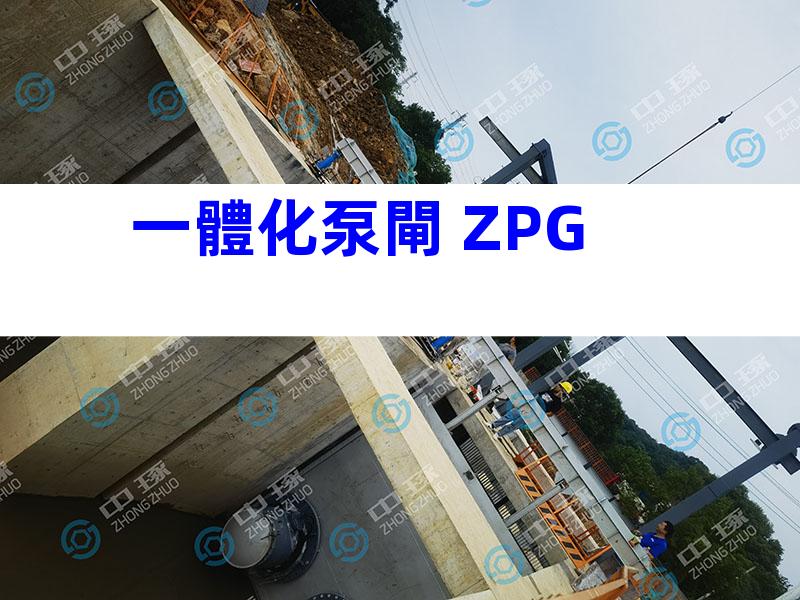 一體化泵閘 ZPG